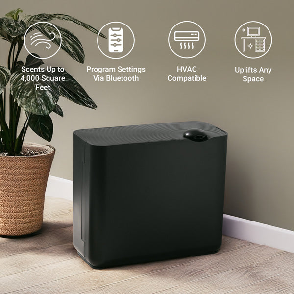 The Radiant Diffuser- Black
