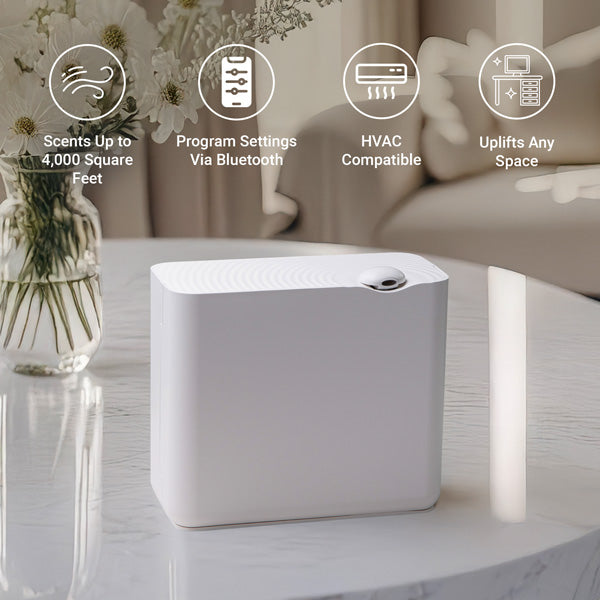 The Radiant Diffuser [White]
